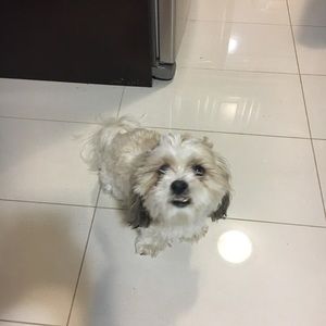 Meet your Posher, Meryam